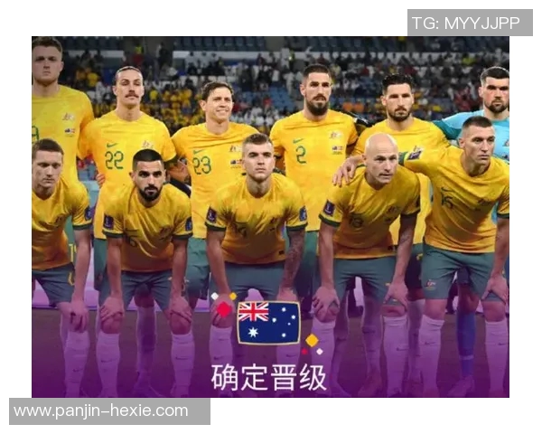 南京羽毛球队在世界杯预选赛中的比赛经验与表现分析 南京羽毛球队在世界杯预选赛中的比赛经验与表现分析