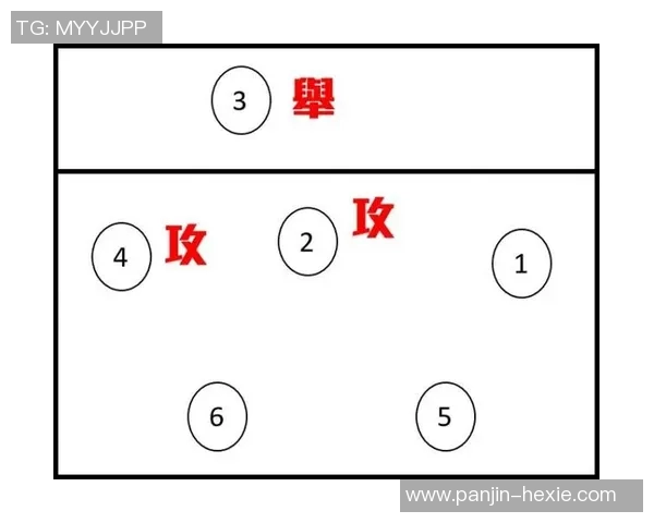 成都排球队反击战术深度分析与实战应用探讨