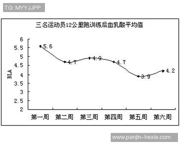 南京篮球队在全国锦标赛中的耐力表现分析与总结