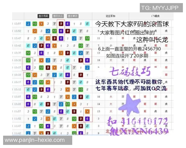 从零基础到高手之路乒乓球节奏技巧全解析与实战应用