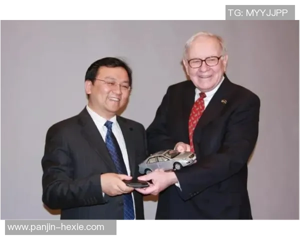 深圳排球队的崛起之路欧锦赛背后的奋斗与荣耀