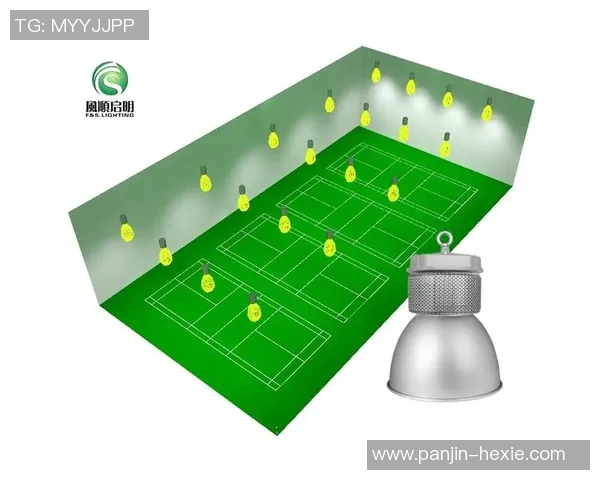 深圳羽毛球队力量表现数据分析揭示运动员潜力与训练效果的深度关系 深圳羽毛球队力量表现数据分析揭示运动员潜力与训练效果的深度关系