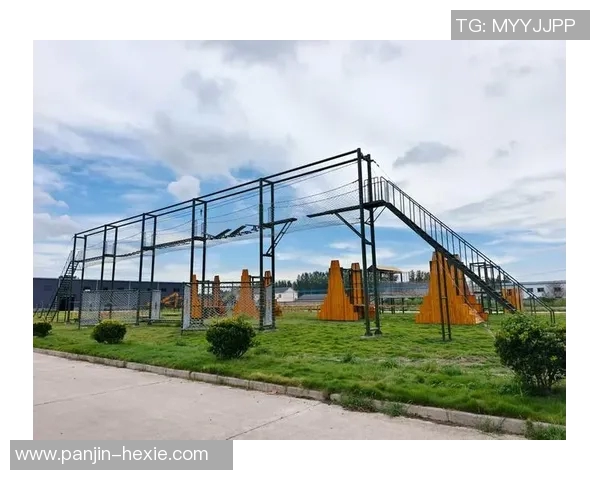 上海排球队的耐力之道：探索训练与比赛中的坚持与韧性