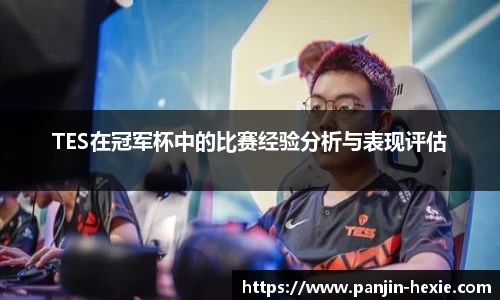 TES在冠军杯中的比赛经验分析与表现评估