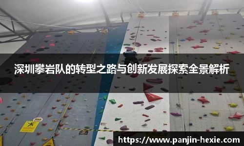 深圳攀岩队的转型之路与创新发展探索全景解析