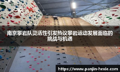 南京攀岩队灵活性引发热议攀岩运动发展面临的挑战与机遇