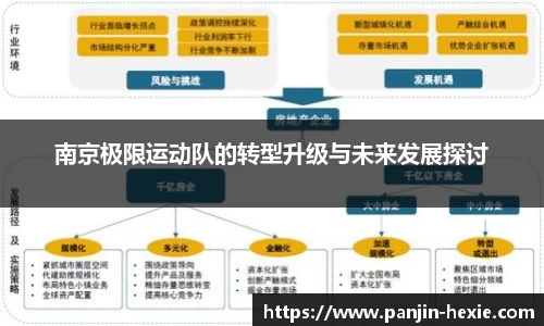 南京极限运动队的转型升级与未来发展探讨