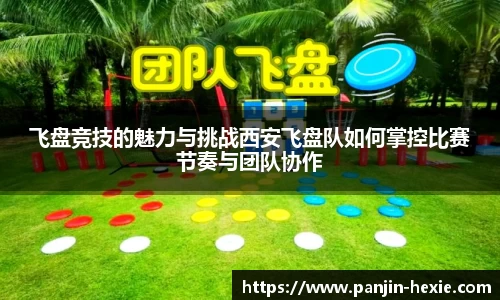 飞盘竞技的魅力与挑战西安飞盘队如何掌控比赛节奏与团队协作