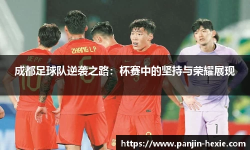 成都足球队逆袭之路：杯赛中的坚持与荣耀展现