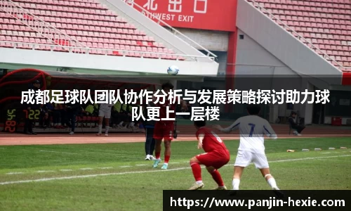 成都足球队团队协作分析与发展策略探讨助力球队更上一层楼