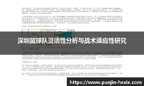 深圳篮球队灵活性分析与战术适应性研究
