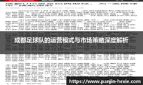 成都足球队的运营模式与市场策略深度解析
