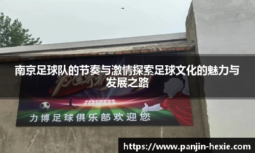 南京足球队的节奏与激情探索足球文化的魅力与发展之路