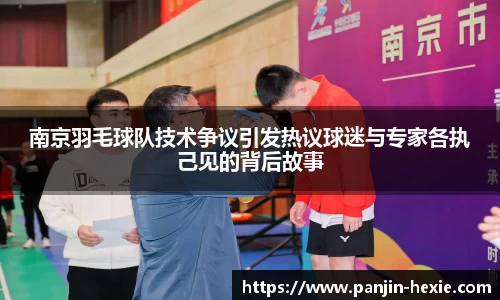 南京羽毛球队技术争议引发热议球迷与专家各执己见的背后故事