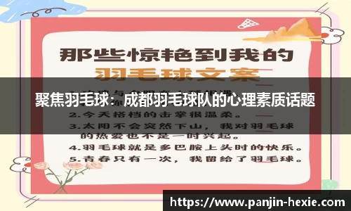 聚焦羽毛球：成都羽毛球队的心理素质话题